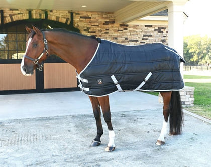 Gatsby 600D 250g Stable Blanket