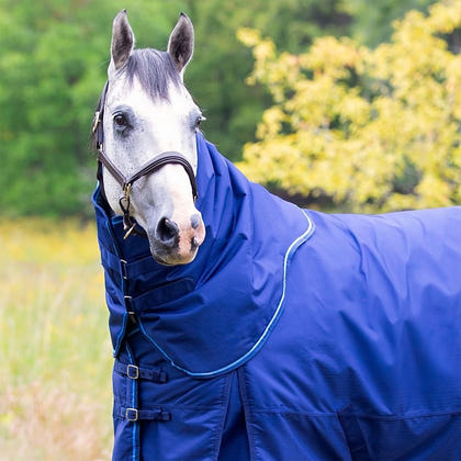 Defender 600D 250g Detach Neck Turnout Blanket