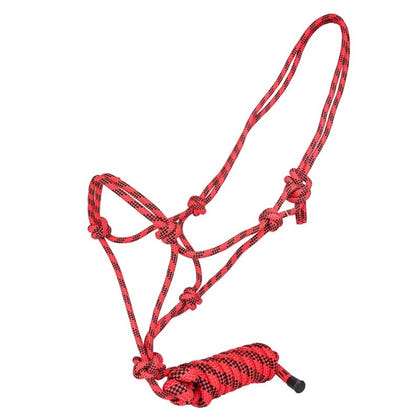 Tabelo Cowboy Rope Halter with Lead