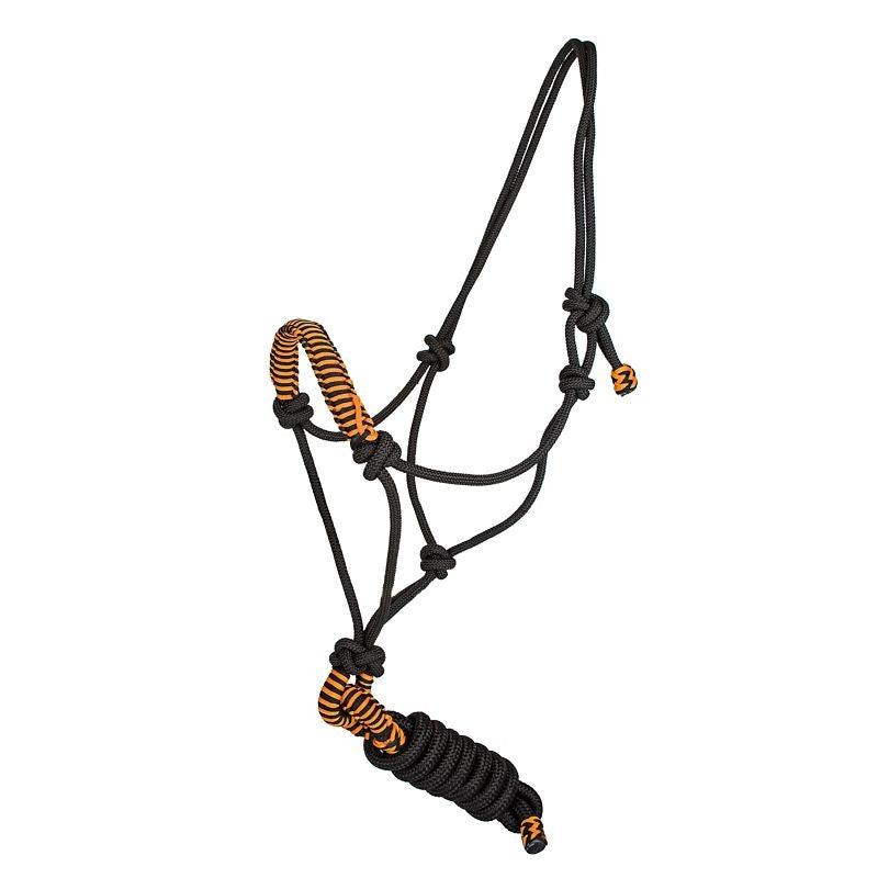 Tabelo Rope Halter with Lead