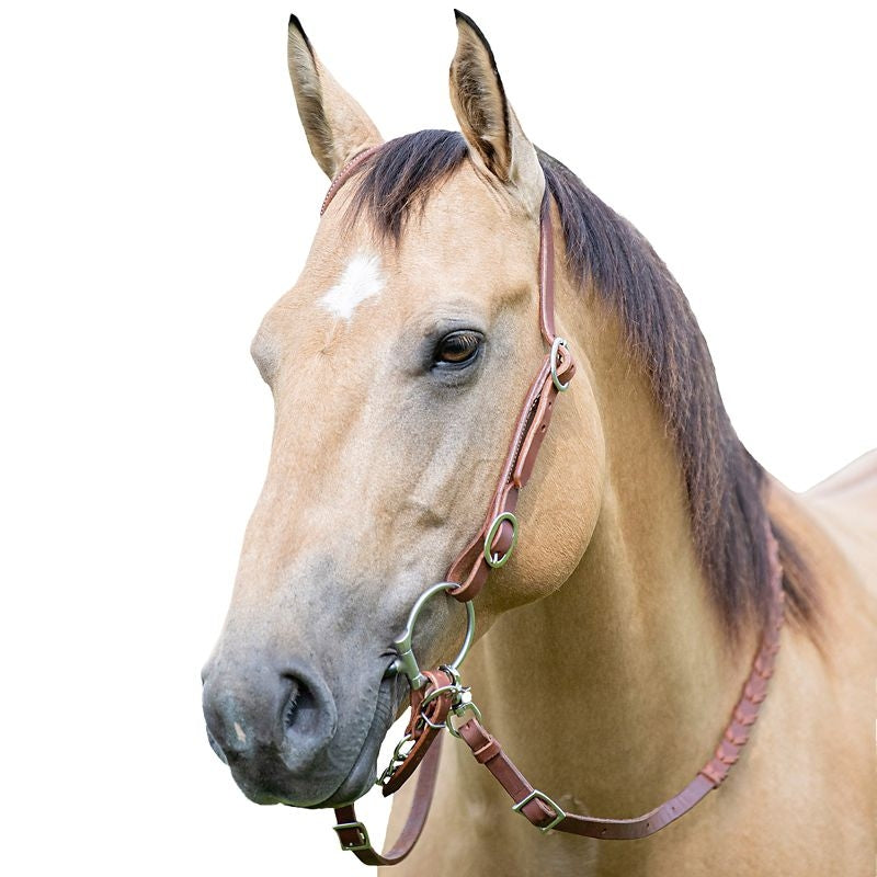 Tabelo Single Ear Headstall Buckle Ends