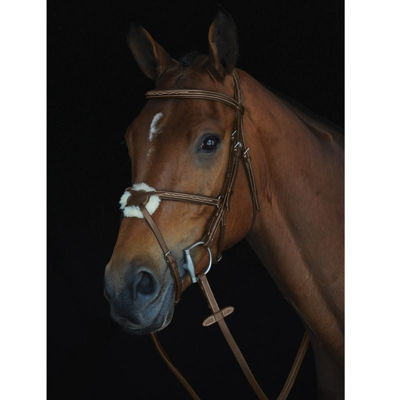 Collegiate Mono Fancy Raised Figure 8