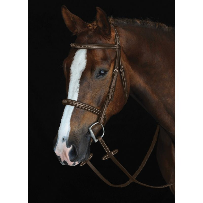 Collegiate Mono Fancy Raised Cavesson