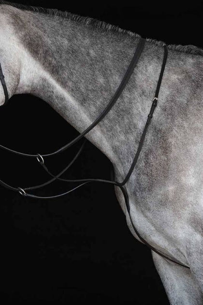Collegiate Running Martingale