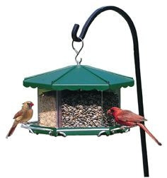 Triple Bin Party Feeder