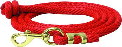 Abetta Round Nylon Lead With Brass Snap 5/8 x10ft Blk
