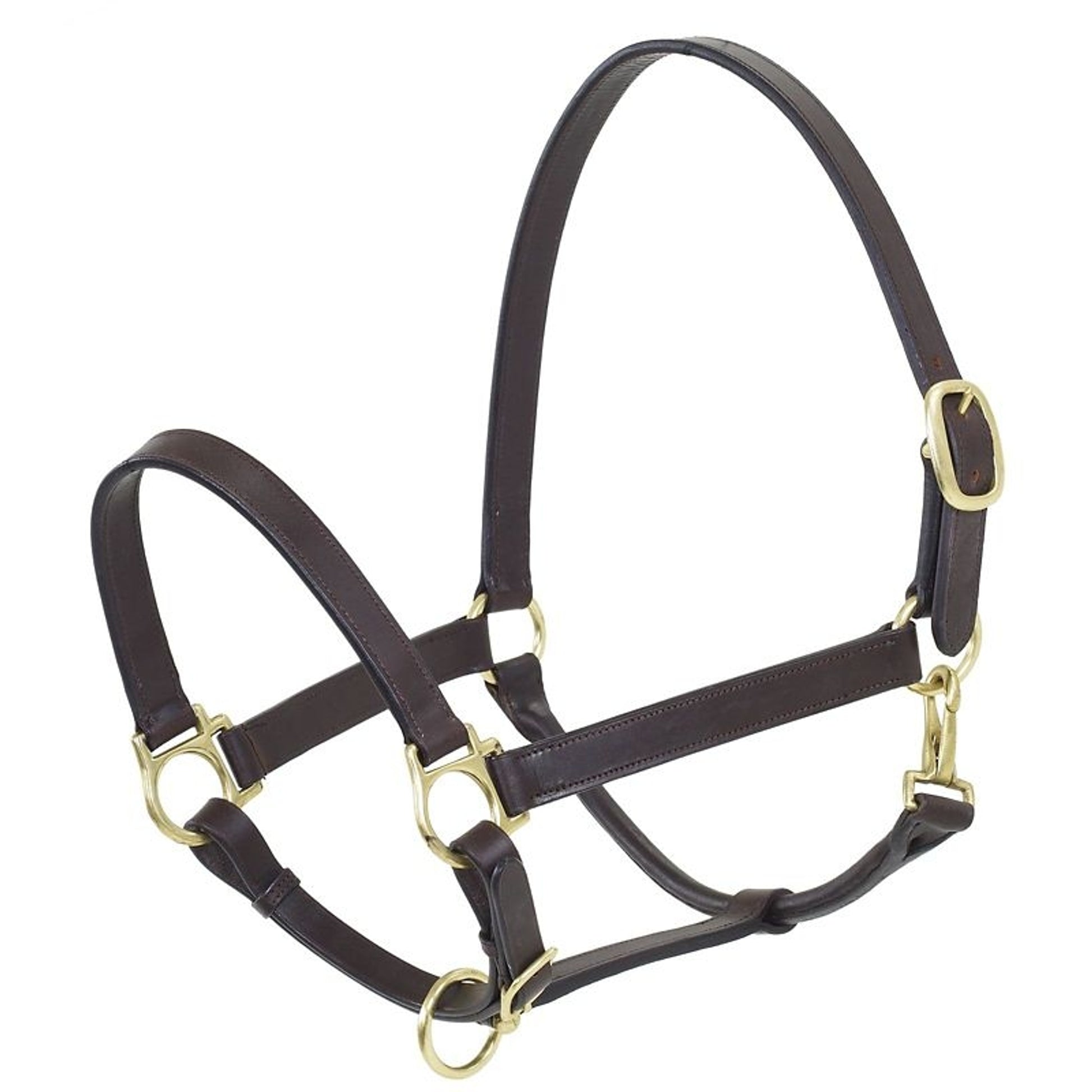 Camelot Stable Halter Draft Brn