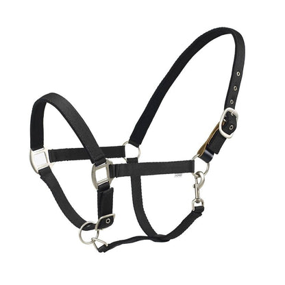 Centaur Solid Cushion Padded Breakaway Halter