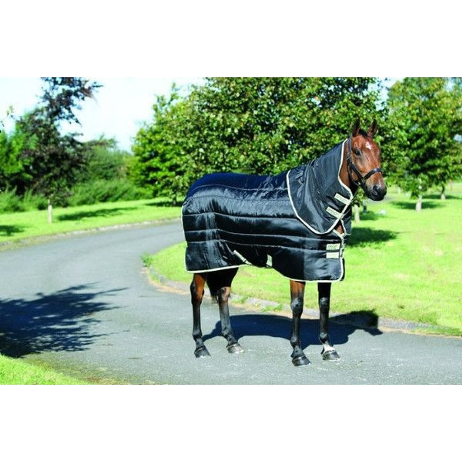 Amigo Xl Insulator Medium 69 Navy Navy Gold