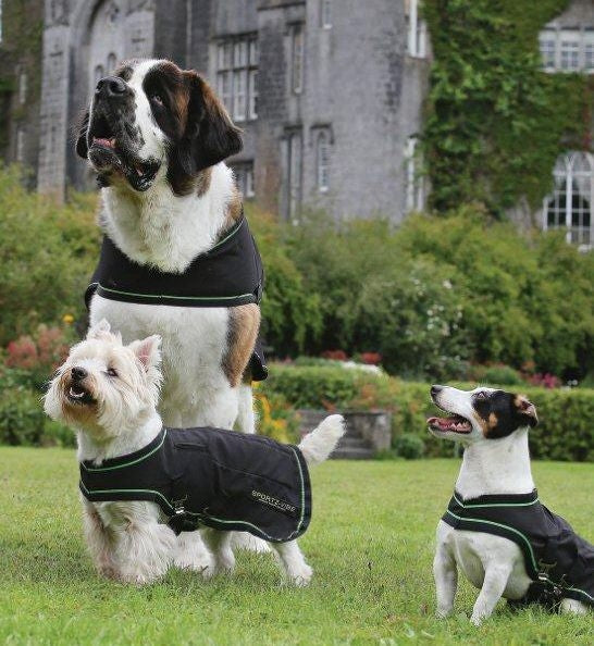Sportz-Vibe Dog Blanket