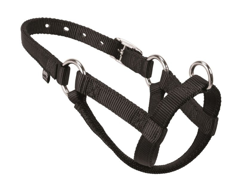 Weaver Nylon Walking Halter