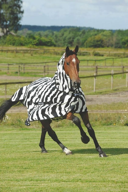 Bucas Zebra Fly Sheet