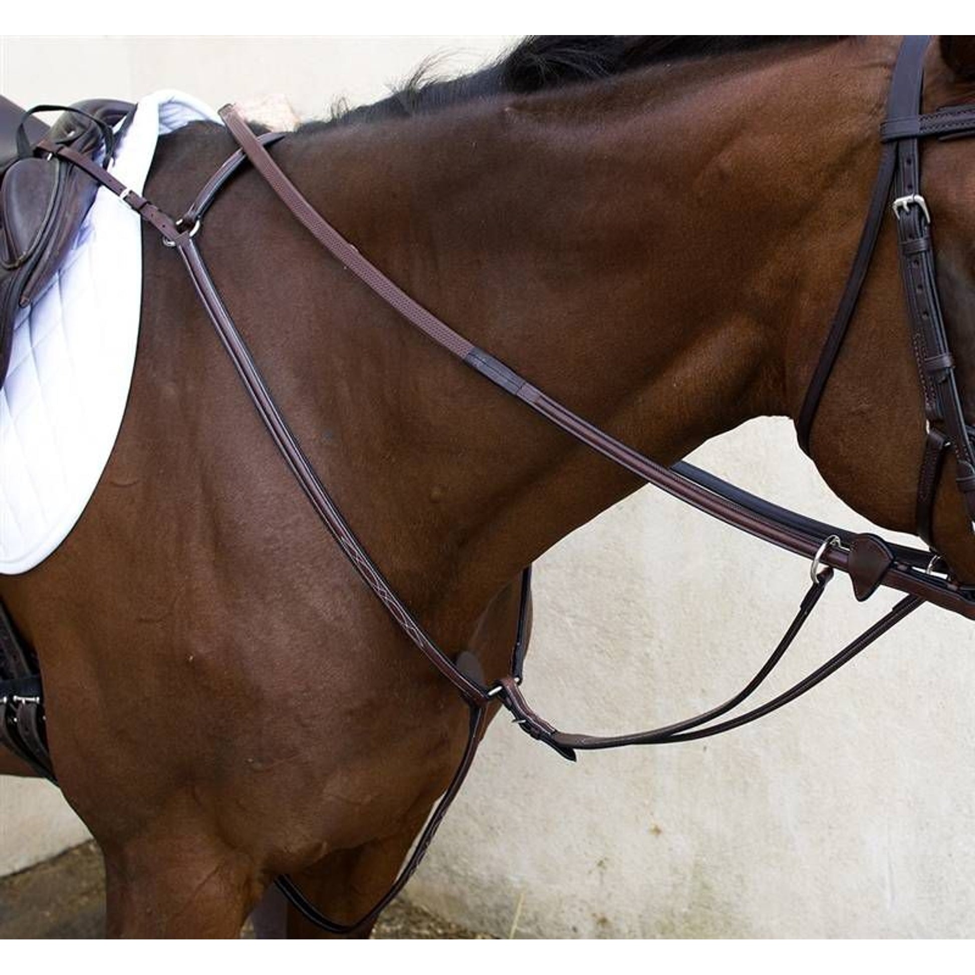 Nunn Finer Hunting Breastplate Cob Havana