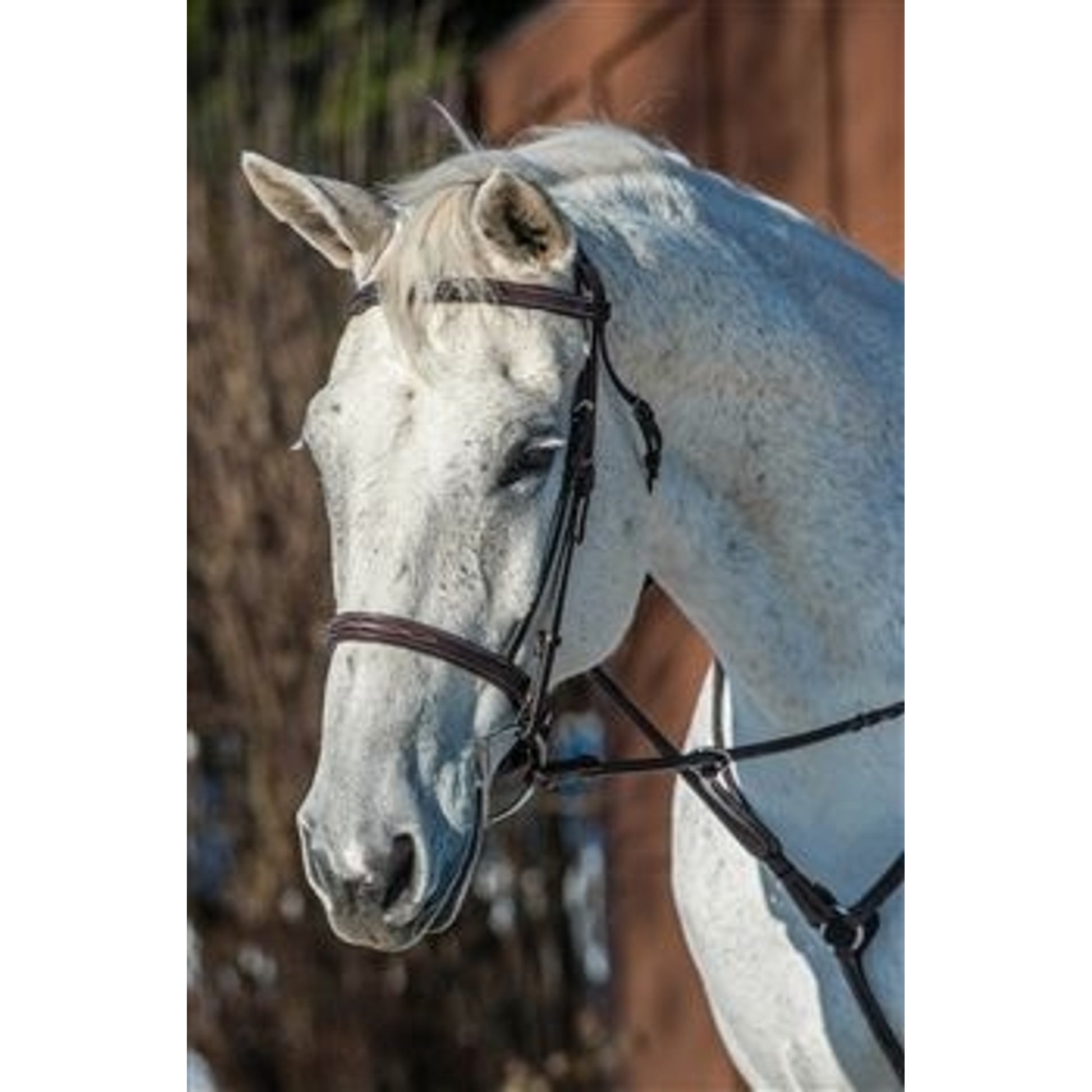 Nunn Finer Florence Bridle Cob Havana