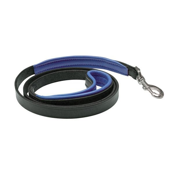 Perris Padded Leather Dog Leash