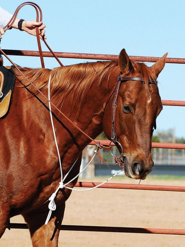 Martin Saddlery String MartingaleBrn