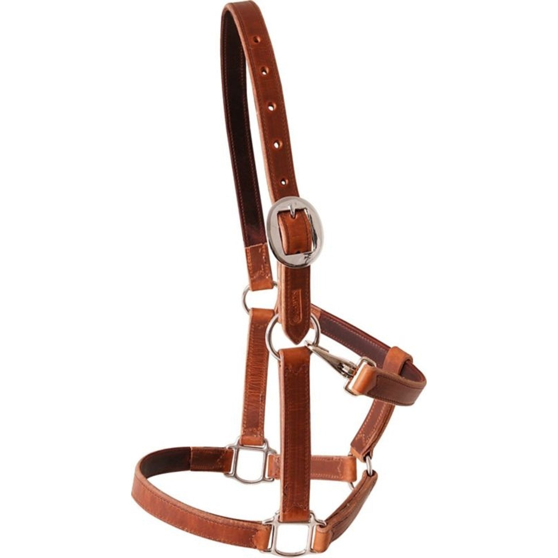 Martin Harness Leather Halter Brown