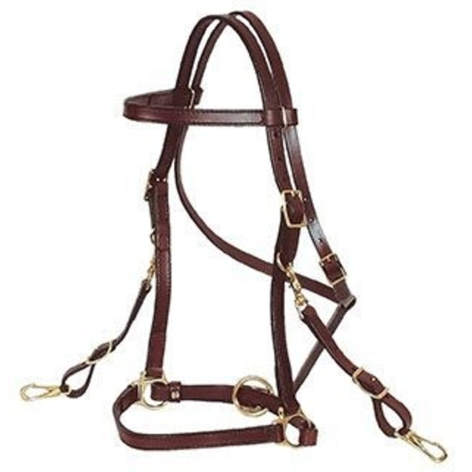 Circle Y Trail Halter/Headstall Horse Brn