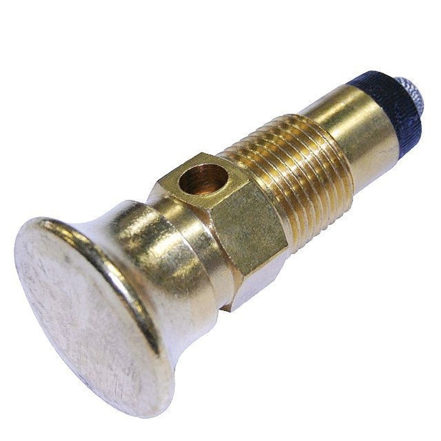 TH1297907.jpg