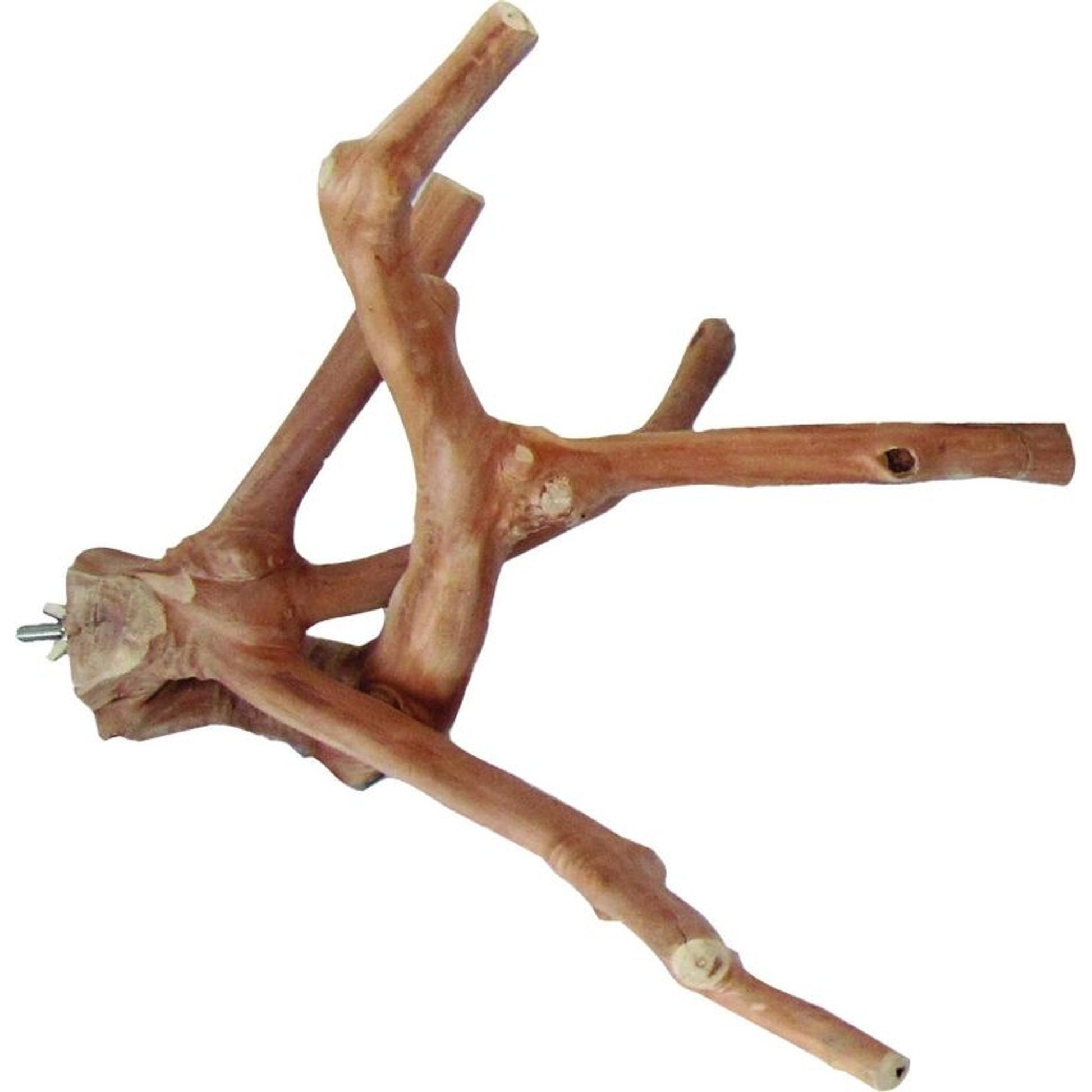 Java Wood Natural Multi Branch Bird Perch