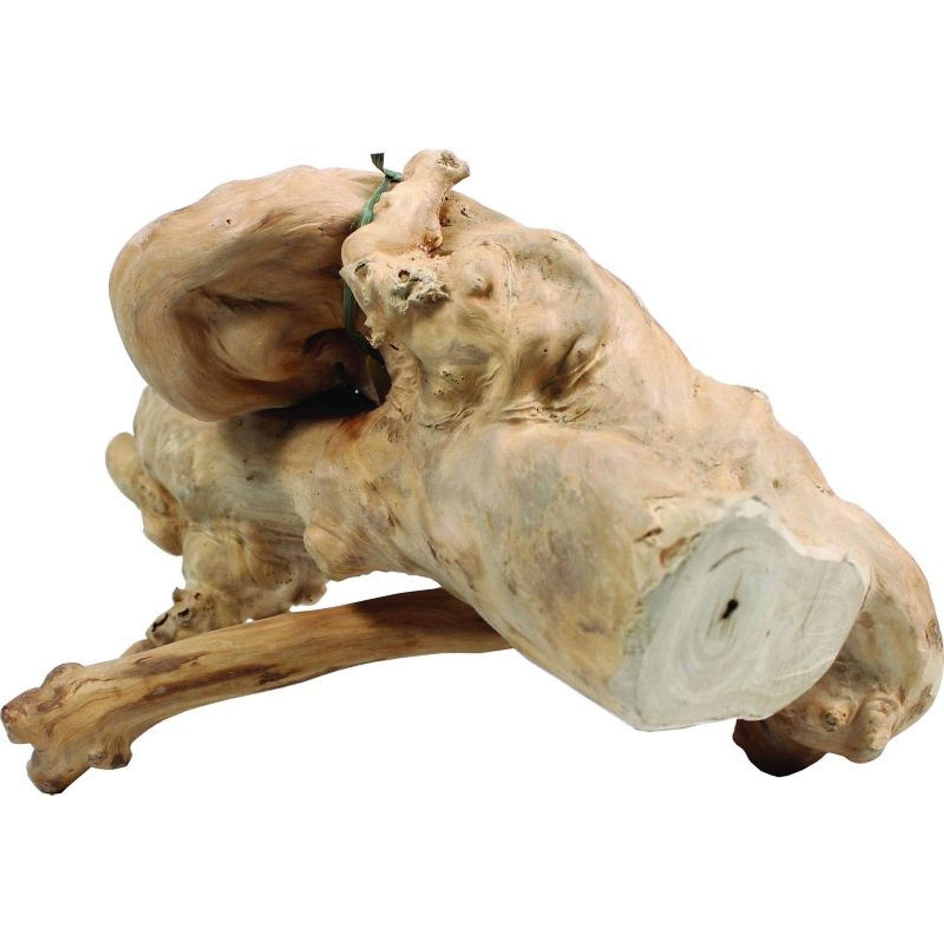 Java Wood Reptile Branch Small Natural