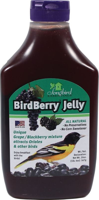 Birdberry Jelly 20oz Grape/Blackberry