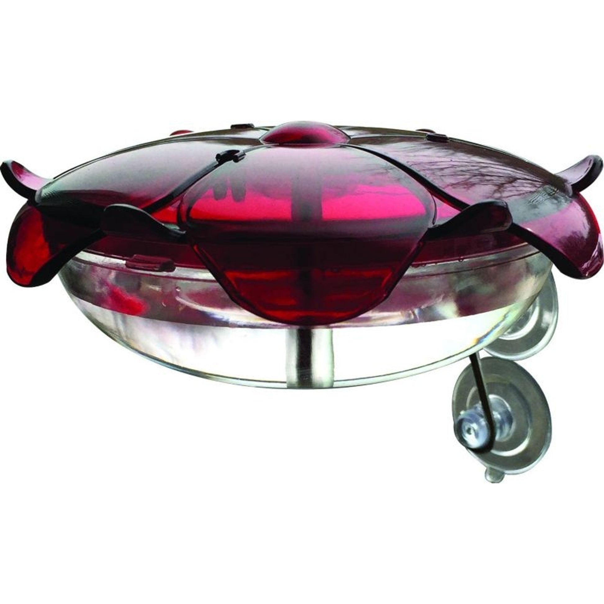 Droll Sipper Window Hummingbird Feeder Red/Clear