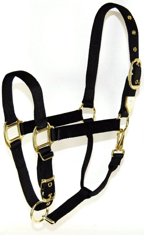 Adjustable Chin Strap Halter With Snap Draft Black