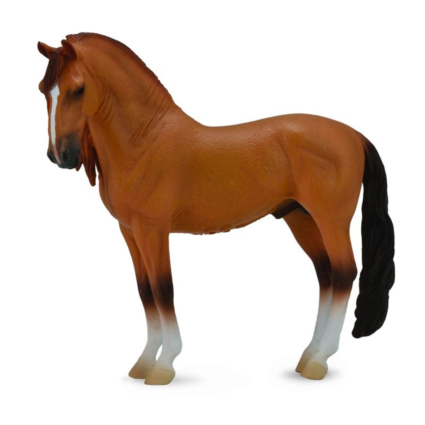 TH1328605.jpg