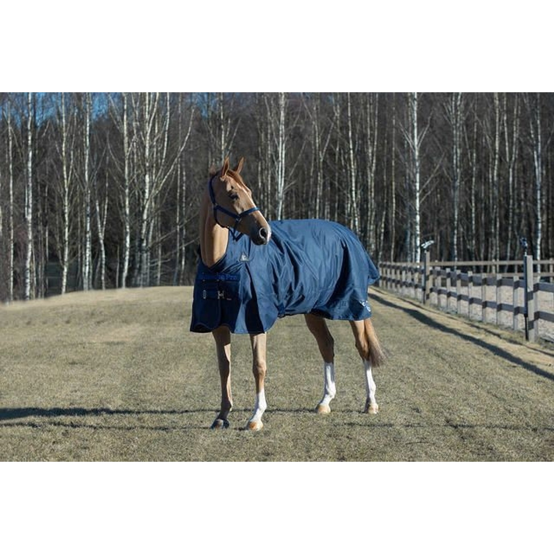 Horze Avalanche Heavy Weight Turnout Blanket 300g