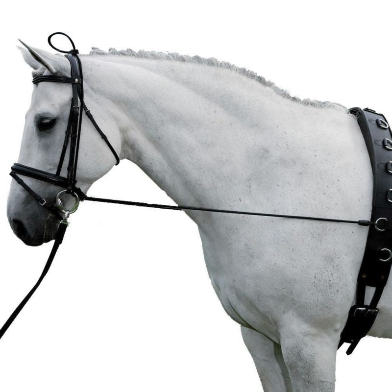 Neck Stretcher Horse Black