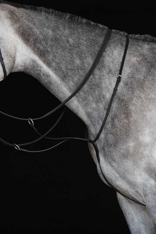 Collegiate Running Martingale