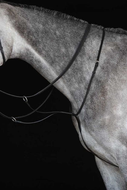 Collegiate Running Martingale