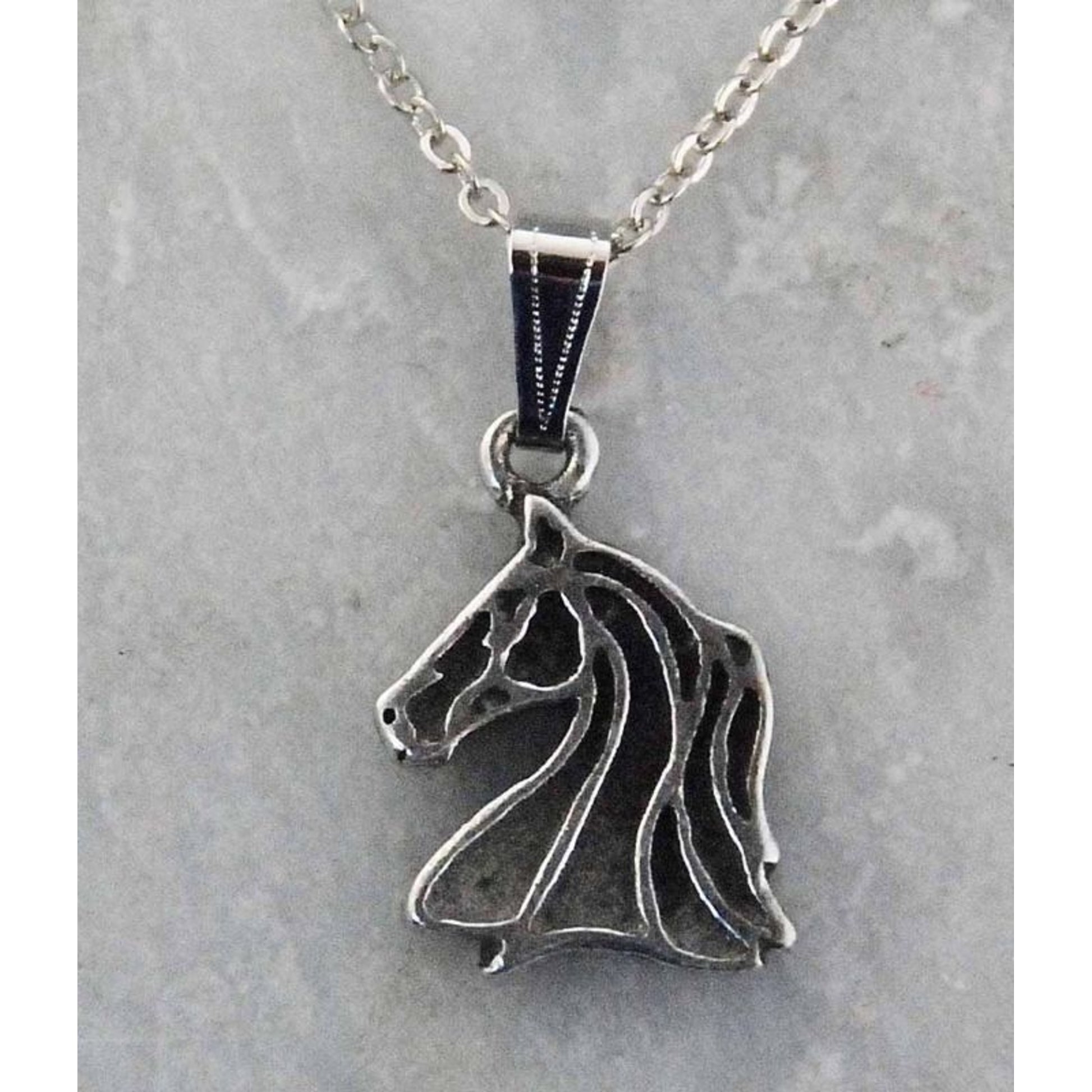 Western Edge Free Form Horeshead Necklace Rhod