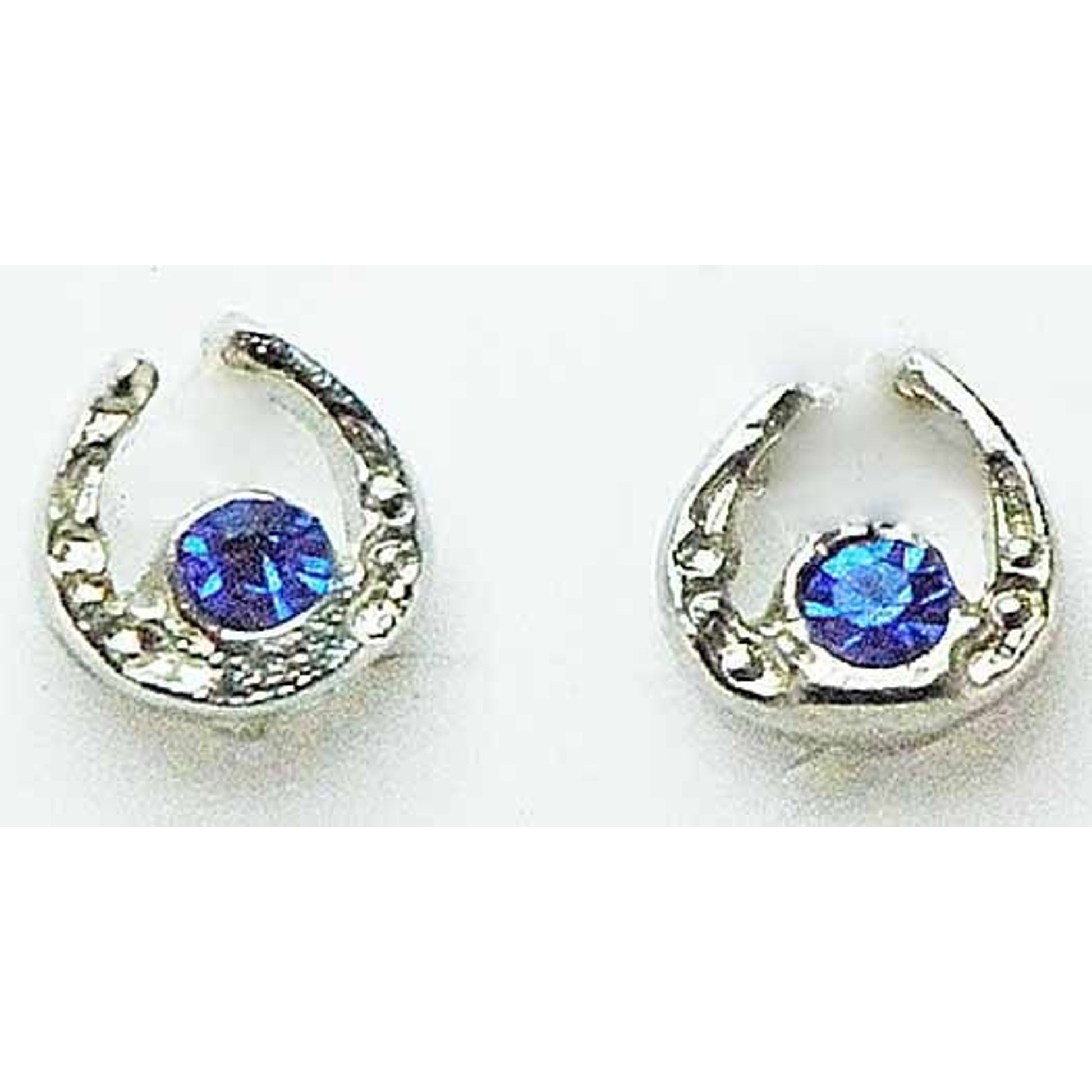 Western Edge Sm Horseshoe With Crystal Stone Earring