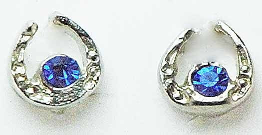 Western Edge Sm Horseshoe With Crystal Stone Earring