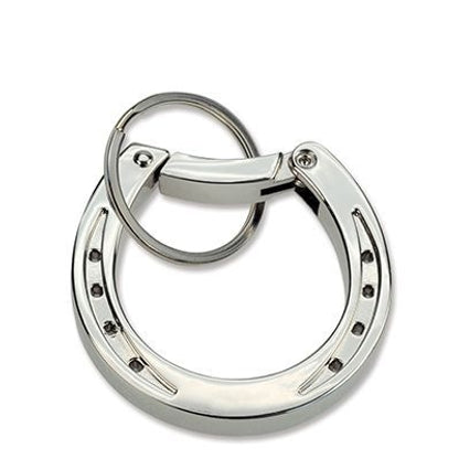 Horse Shoe Carabiner Keychain
