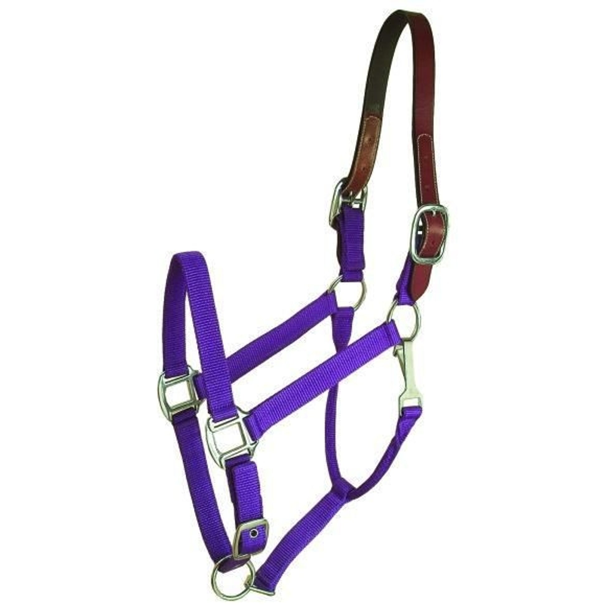 Gatsby Nylon Breakaway Halter with Snap 12Pc Horse