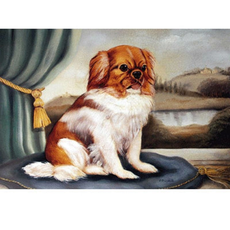 Dog Prints-A Pekinese in Buckinghamshire