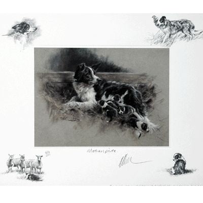 Sally Mitchell Fine Art Dog Prints Mothers Pride