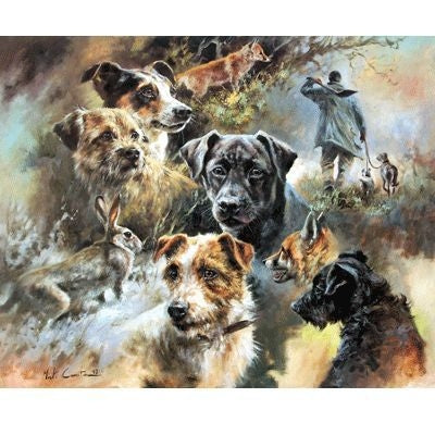 Sally Mitchell Fine Art Prints Five of the Best