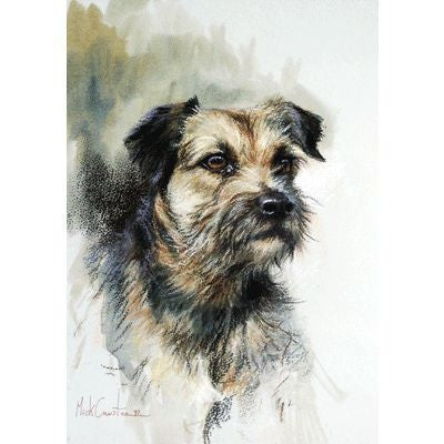 Sally Mitchell Fine Art Border Terrier
