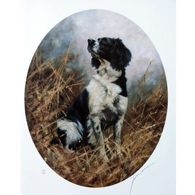 Sally Mitchell Fine Art Black/White Springer Ov