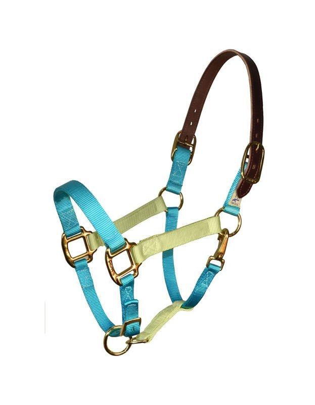 Perri's Color Vision Halter