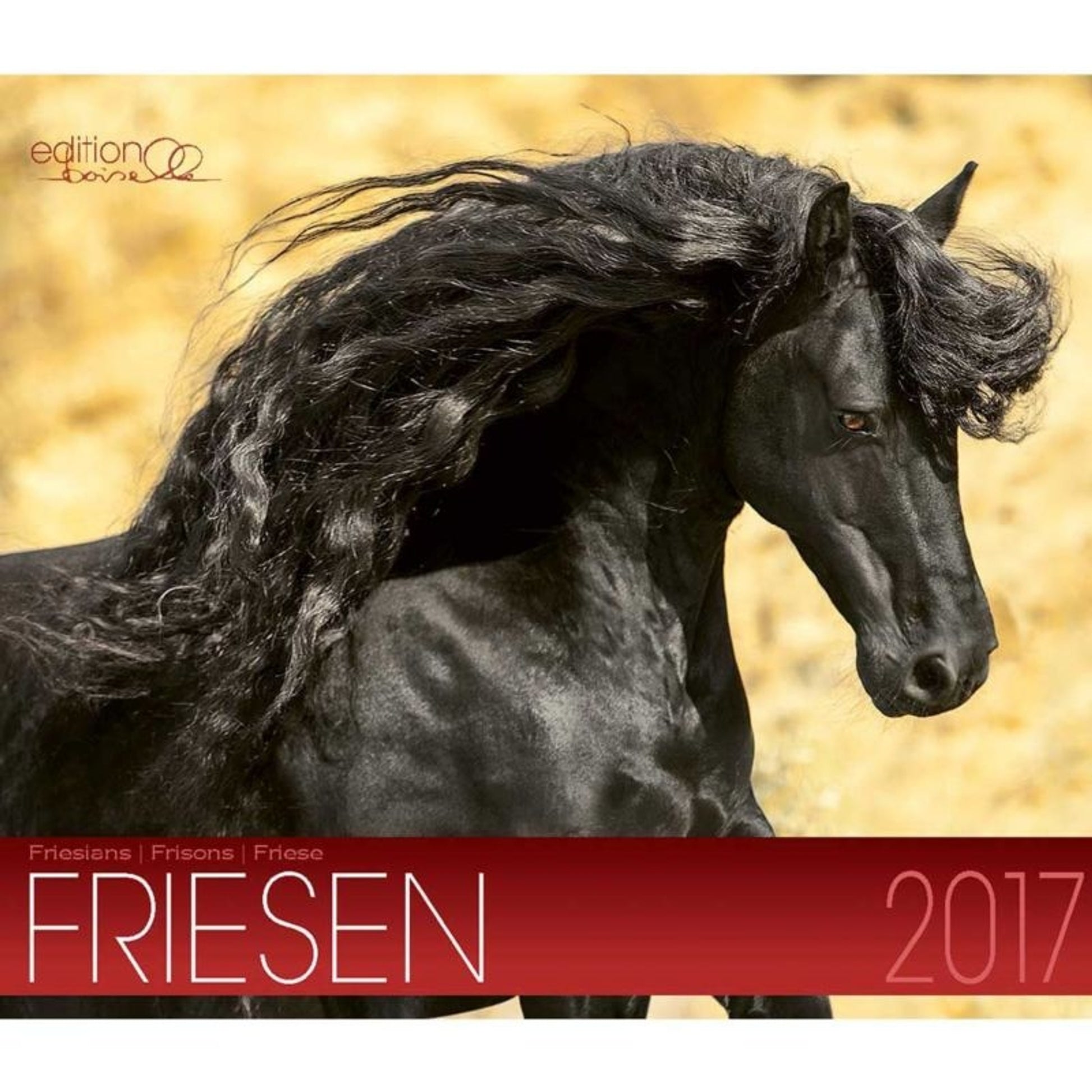 Boiselle Mid Sized Calendar Friesian - 2017