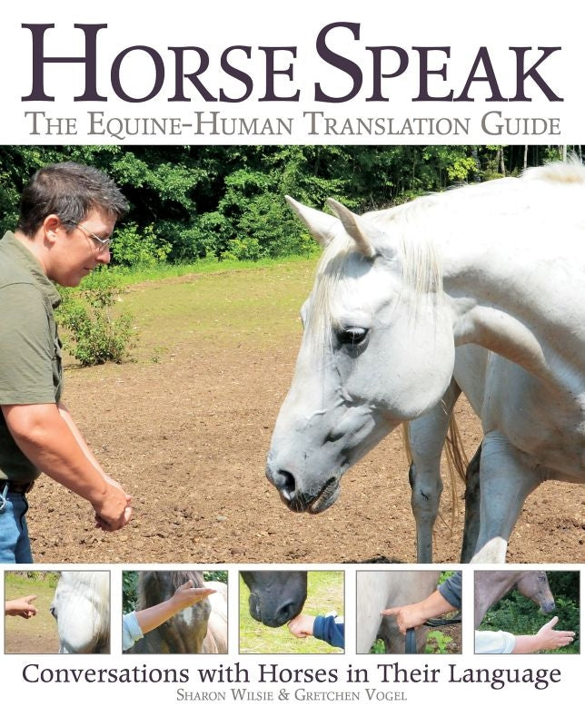 Horse Speak The Equine Human Translation Guide