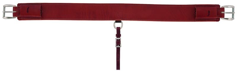 Weaver Heavy-Duty 3in Back Cinch