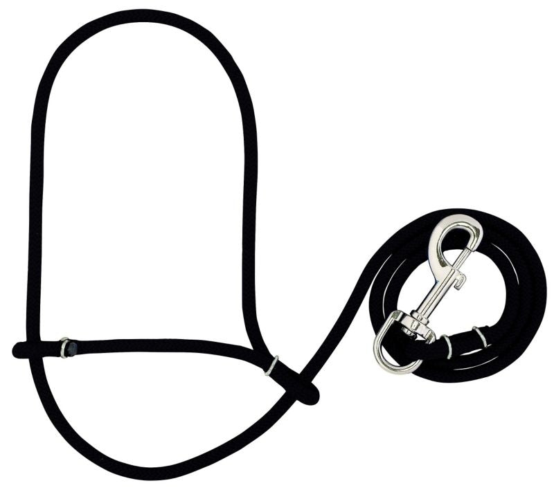 Weaver Parachute Rope Sheep Halter with Snap Turq