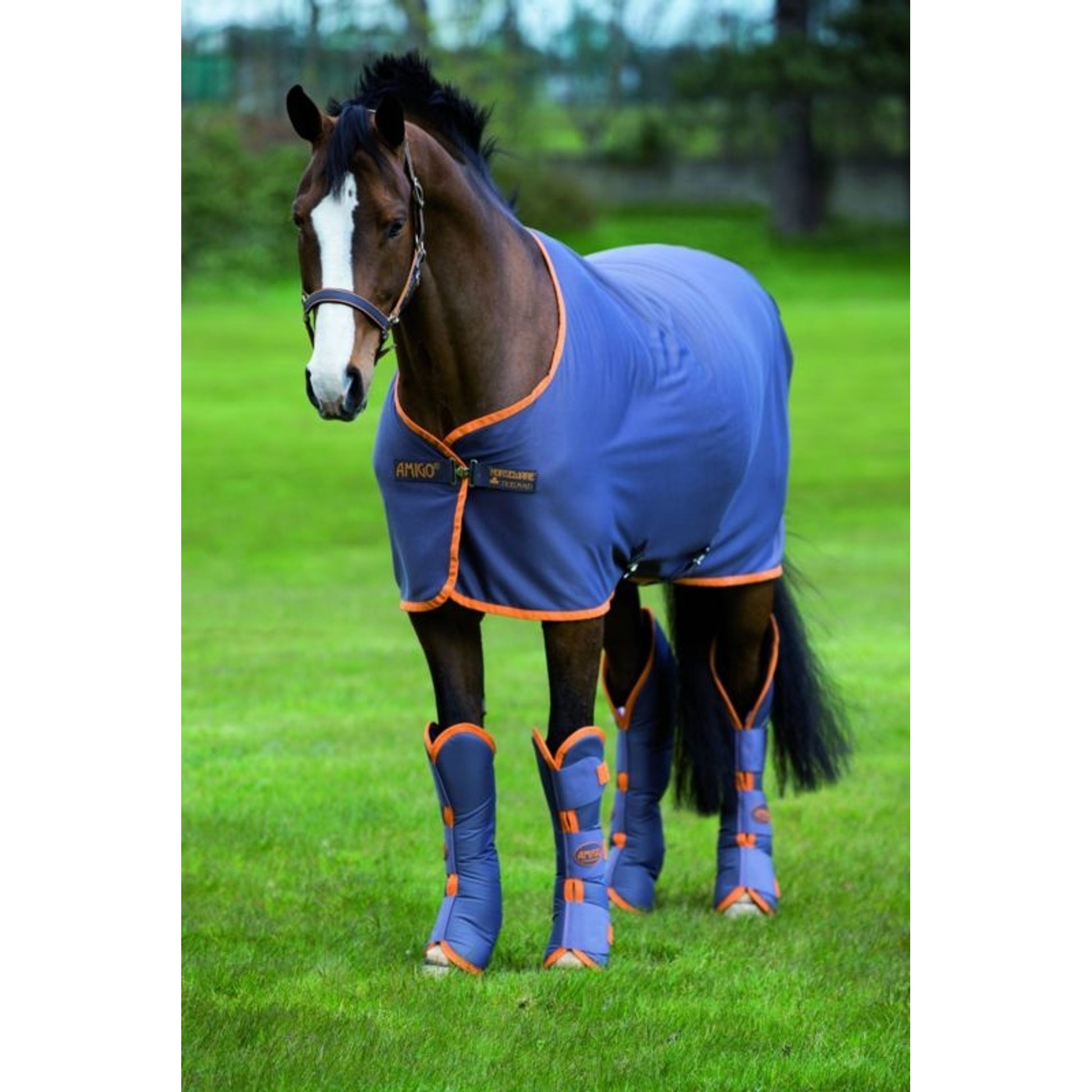 Amigo Pony Jersey Cooler