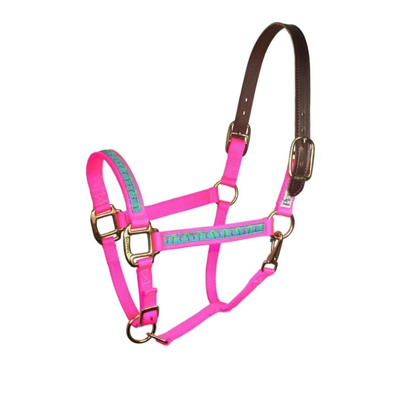 Perris Leather Ribbon Halter Cob Flamingo